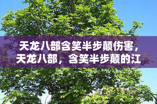 天龙八部含笑半步颠伤害，天龙八部，含笑半步颠的江湖传奇