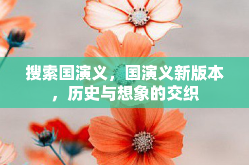 搜索国演义，国演义新版本，历史与想象的交织