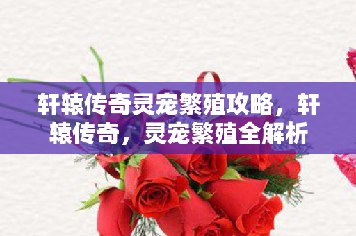 轩辕传奇灵宠繁殖攻略，轩辕传奇，灵宠繁殖全解析