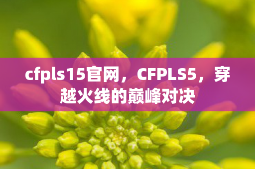 cfpls15官网，CFPLS5，穿越火线的巅峰对决