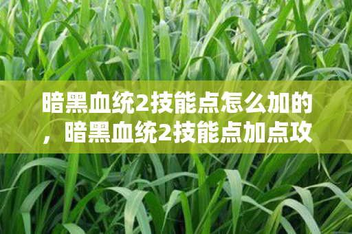 暗黑血统2技能点怎么加的,暗黑血统2技能点加点攻略,打造最强战士 暗黑血统2技能点怎么加的,暗黑血统2技能点加点攻略,打造最强战士