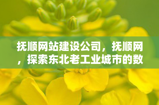 抚顺网站建设公司，抚顺网，探索东北老工业城市的数字化转型之路