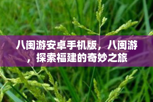 八闽游安卓手机版,八闽游,探索福建的奇妙之旅 八闽游安卓手机版,八闽游,探索福建的奇妙之旅