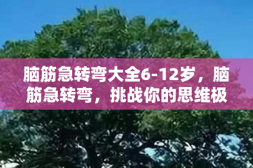 脑筋急转弯大全6-12岁,脑筋急转弯,挑战你的思维极限 脑筋急转弯大全6-12岁,脑筋急转弯,挑战你的思维极限