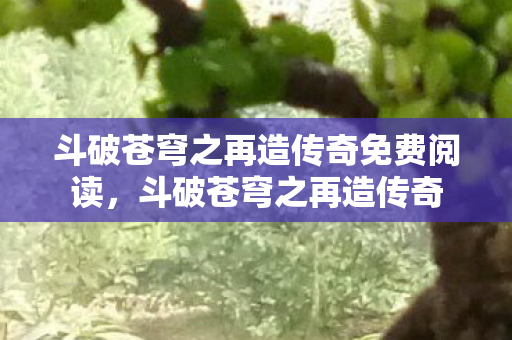 斗破苍穹之再造传奇免费阅读,斗破苍穹之再造传奇 斗破苍穹之再造传奇免费阅读,斗破苍穹之再造传奇