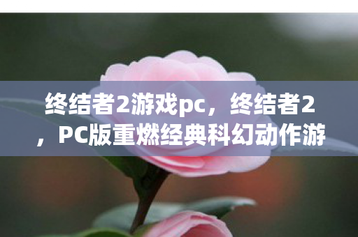 终结者2游戏pc，终结者2，PC版重燃经典科幻动作游戏