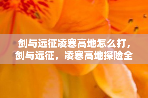 剑与远征凌寒高地怎么打，剑与远征，凌寒高地探险全解析