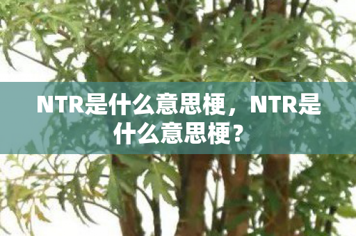 NTR是什么意思梗,NTR是什么意思梗? NTR是什么意思梗,NTR是什么意思梗?
