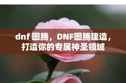 打造你的专属神圣领域图片