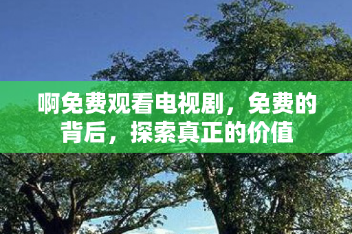 啊免费观看电视剧图片