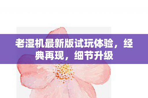 老湿机最新版试玩体验图片