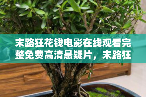 末路狂花钱电影在线观看完整免费高清悬疑片图片