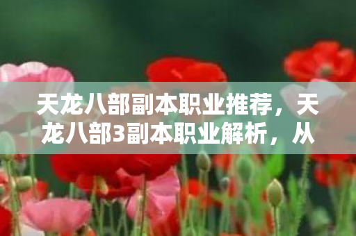 天龙八部副本职业推荐，天龙八部3副本职业解析，从入门到精通