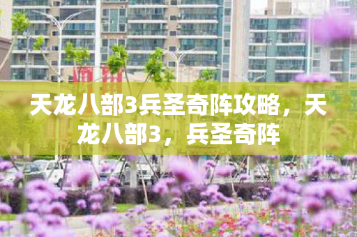 天龙八部3兵圣奇阵攻略，天龙八部3，兵圣奇阵