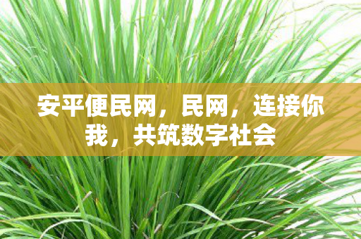 共筑数字社会图片