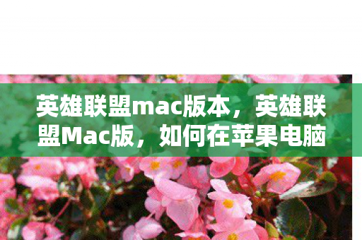 英雄联盟mac版本，英雄联盟Mac版，如何在苹果电脑上畅玩LOL