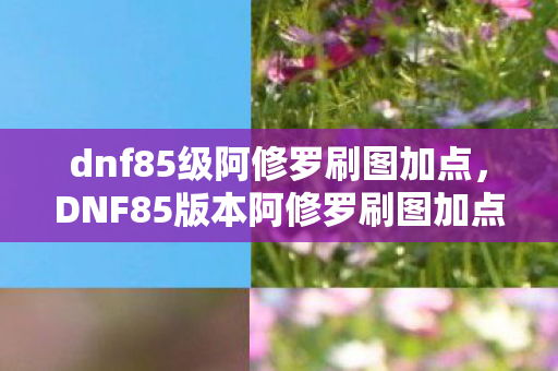 dnf85级阿修罗刷图加点，DNF85版本阿修罗刷图加点详解