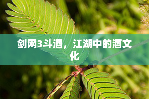 剑网3斗酒,江湖中的酒文化 剑网3斗酒,江湖中的酒文化