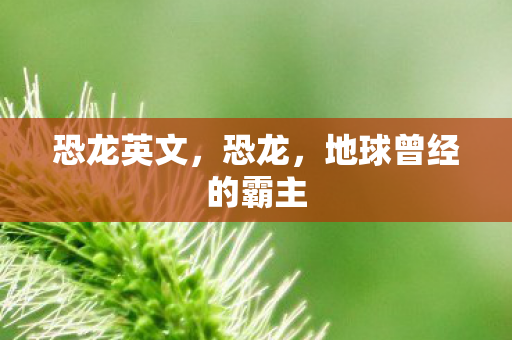 恐龙英文,恐龙,地球曾经的霸主 恐龙英文,恐龙,地球曾经的霸主