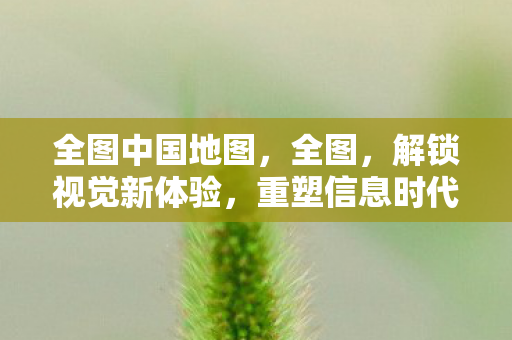 全图中国地图,全图,解锁视觉新体验,重塑信息时代的图像美学 全图中国地图,全图,解锁视觉新体验,重塑信息时代的图像美学