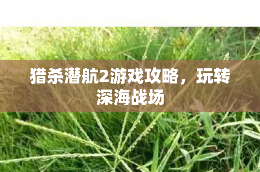 猎杀潜航2游戏攻略,玩转深海战场 猎杀潜航2游戏攻略,玩转深海战场