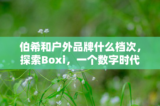 伯希和户外品牌什么档次,探索Boxi,一个数字时代的创意工具箱 伯希和户外品牌什么档次,探索Boxi,一个数字时代的创意工具箱