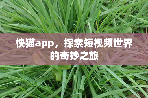 快猫app，探索短视频世界的奇妙之旅