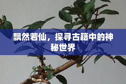 飘然若仙，探寻古籍中的神秘世界