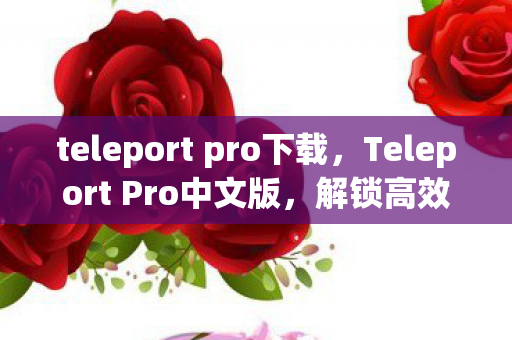teleport pro下载，Teleport Pro中文版，解锁高效远程协作的新篇章