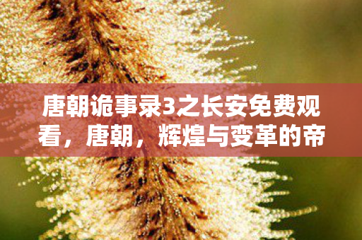 唐朝诡事录3之长安免费观看,唐朝,辉煌与变革的帝国 唐朝诡事录3之长安免费观看,唐朝,辉煌与变革的帝国