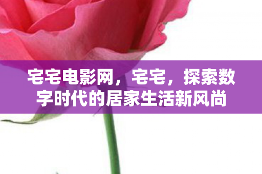 宅宅电影网，宅宅，探索数字时代的居家生活新风尚