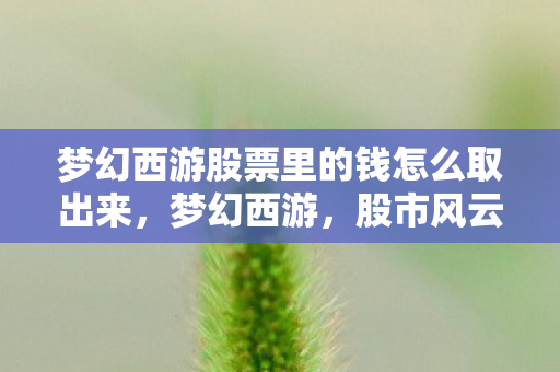 梦幻西游股票里的钱怎么取出来,梦幻西游,股市风云,虚拟与现实的交织 梦幻西游股票里的钱怎么取出来,梦幻西游,股市风云,虚拟与现实的交织