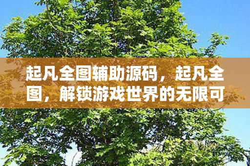 起凡全图辅助源码，起凡全图，解锁游戏世界的无限可能