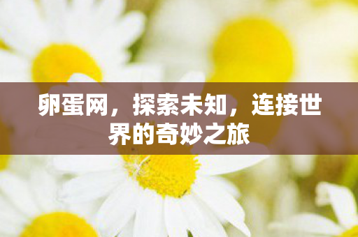 卵蛋网，探索未知，连接世界的奇妙之旅