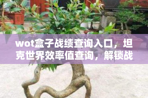 wot盒子战绩查询入口，坦克世界效率值查询，解锁战场上的高效战斗技巧