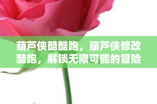 葫芦侠酷酷跑，葫芦侠修改酷跑，解锁无限可能的冒险之旅