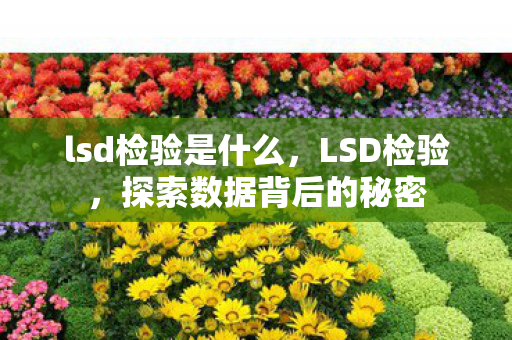 lsd检验是什么，LSD检验，探索数据背后的秘密