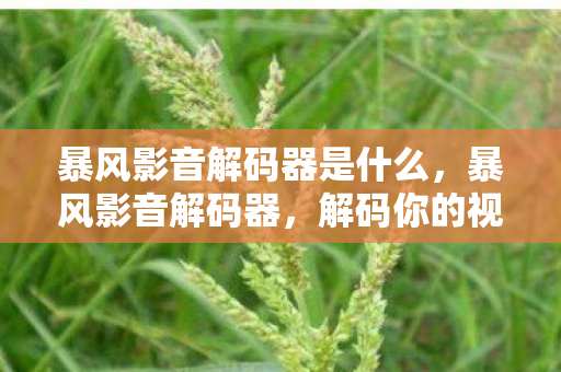 暴风影音解码器是什么,暴风影音解码器,解码你的视听盛宴 暴风影音解码器是什么,暴风影音解码器,解码你的视听盛宴