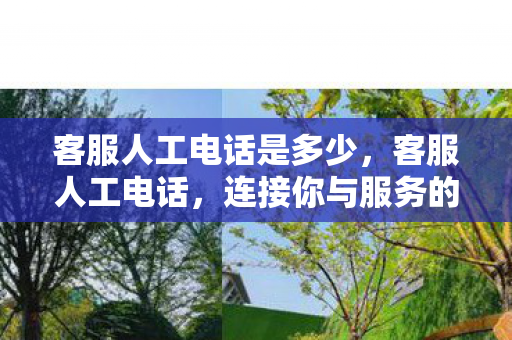 客服人工电话是多少，客服人工电话，连接你与服务的桥梁