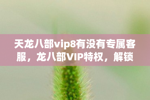 天龙八部vip8有没有专属客服,龙八部VIP特权,解锁你的游戏新境界 天龙八部vip8有没有专属客服,龙八部VIP特权,解锁你的游戏新境界