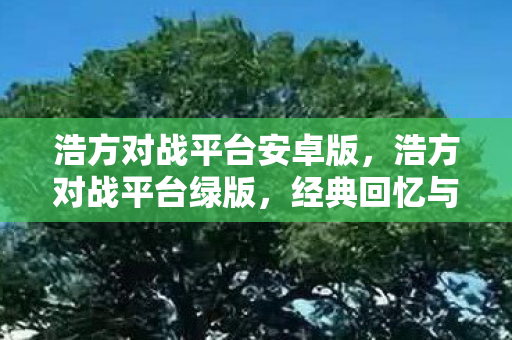 浩方对战平台安卓版,浩方对战平台绿版,经典回忆与情怀的延续 浩方对战平台安卓版,浩方对战平台绿版,经典回忆与情怀的延续