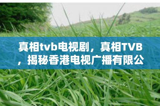 真相tvb电视剧,真相TVB,揭秘香港电视广播有限公司的成功之路 真相tvb电视剧,真相TVB,揭秘香港电视广播有限公司的成功之路