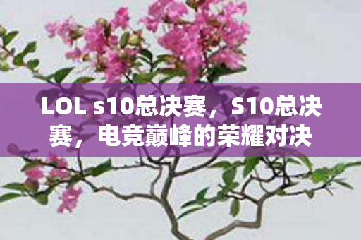 LOL s10总决赛,S10总决赛,电竞巅峰的荣耀对决 LOL s10总决赛,S10总决赛,电竞巅峰的荣耀对决