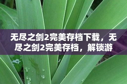 无尽之剑2完美存档下载,无尽之剑2完美存档,解锁游戏巅峰的钥匙 无尽之剑2完美存档下载,无尽之剑2完美存档,解锁游戏巅峰的钥匙