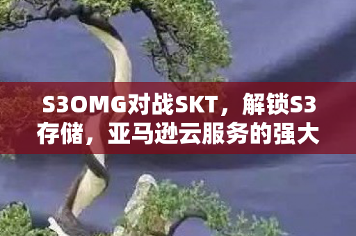 S3OMG对战SKT,解锁S3存储,亚马逊云服务的强大功能与应用 S3OMG对战SKT,解锁S3存储,亚马逊云服务的强大功能与应用