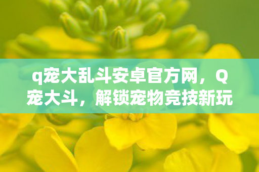 q宠大乱斗安卓官方网,Q宠大斗,解锁宠物竞技新玩法 q宠大乱斗安卓官方网,Q宠大斗,解锁宠物竞技新玩法