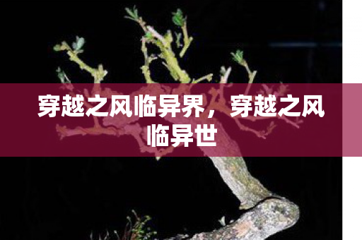 穿越之风临异界,穿越之风临异世 穿越之风临异界,穿越之风临异世