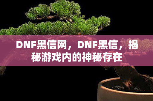DNF黑信网，DNF黑信，揭秘游戏内的神秘存在