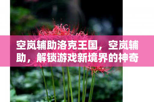 空岚辅助洛克王国，空岚辅助，解锁游戏新境界的神奇工具