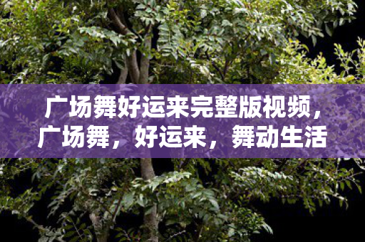 广场舞好运来完整版视频，广场舞，好运来，舞动生活的美好旋律